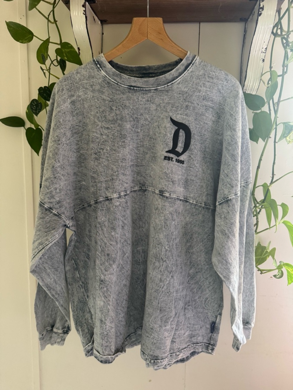 Disneyland Resort Spirit Jersey